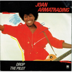 Joan Armatrading - Drop The Pilot (1983)