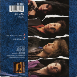 Joan Jett &amp; The Blackhearts - I Hate Myself For Loving You (1988)