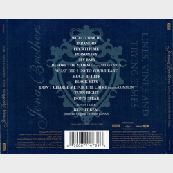 Jonas Brothers - Lines, Vines And Trying Times (2009)