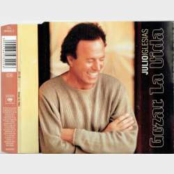Julio Iglesias - Guzar La Vida (2000)