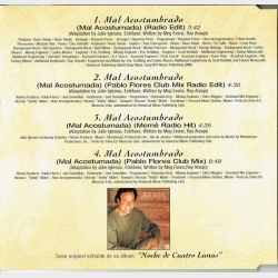 Julio Iglesias - Mal Acostumbrado (2000)