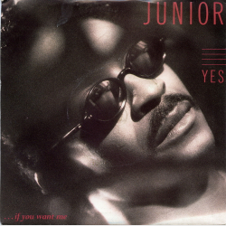Junior - Yes (If You Want Me) (1987)