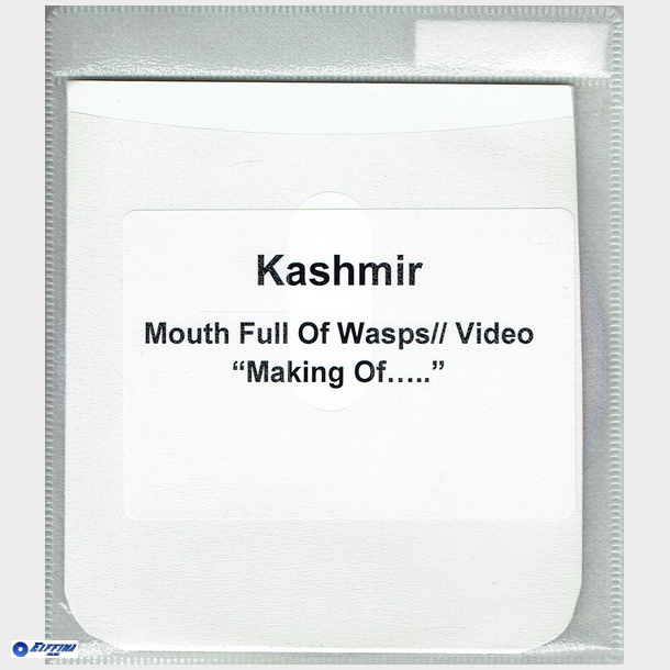 Kashmir - Mouth Full Of Wasps (Video Making Of) (Promo)
