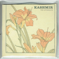 Kashmir - The Aftermath (2004)