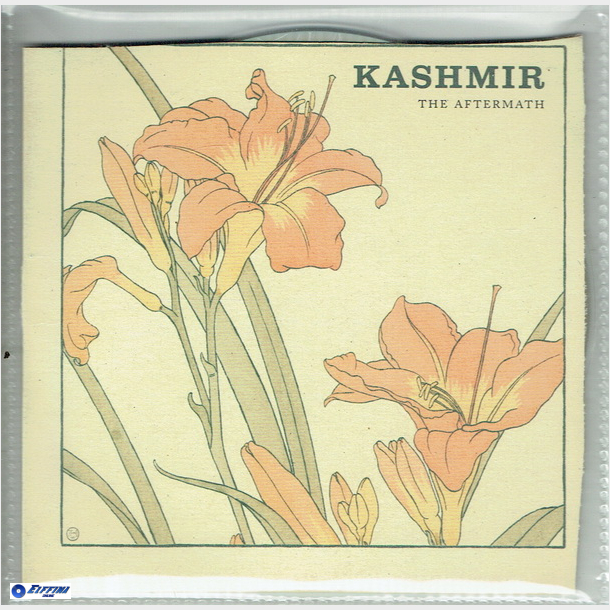 Kashmir - The Aftermath (2004)