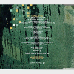 Kelly Clarkson - Because Of You (2005) (Promo)