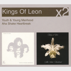Kings Of Leon - Youth &amp; Young Manhood &amp; Aha Shake Heartbreak (2X) (2008)