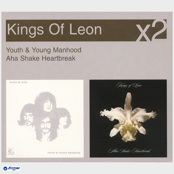 Kings Of Leon - Youth &amp; Young Manhood &amp; Aha Shake Heartbreak (2X) (2008)