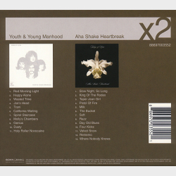 Kings Of Leon - Youth &amp; Young Manhood &amp; Aha Shake Heartbreak (2X) (2008)