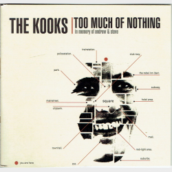 Kooks, The - Too Much Of Nothing (1999)