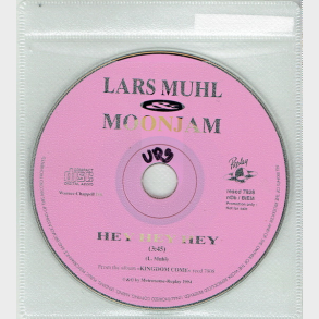 Lars Muhl - How Many Teardrops Must Fall (1991) (Promo)