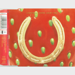 Lightning Seeds - Lucky You (1995)