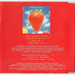 Lightning Seeds - Lucky You (1995)