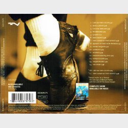 Lord Of The Dance (Michael Flatley) (1999)