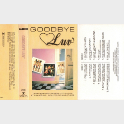 Luv - Goodbye