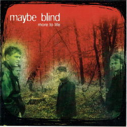 Maybe Blind - More To Life (1997) (Jewel)