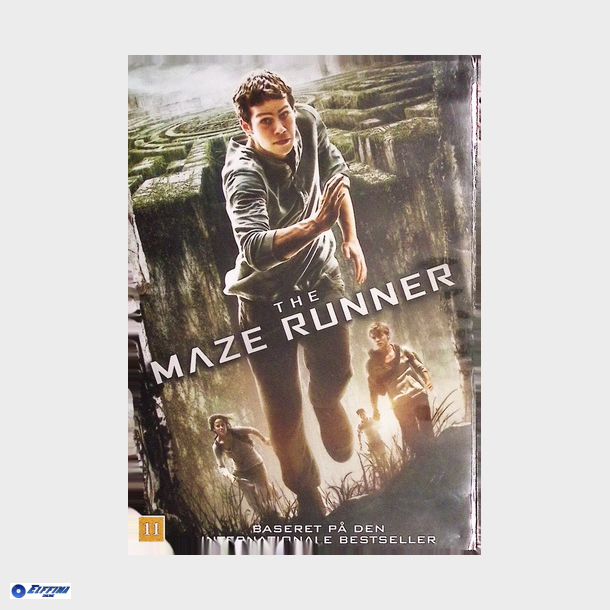 Maze Runner, The (2014)