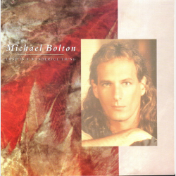 Michael Bolton - Love Is A Wonderful Thing (1991)