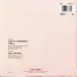 Michael Bolton - Love Is A Wonderful Thing (1991)