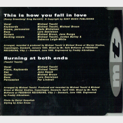 Michael Teschi - This Is How You Fall In Love (1995)