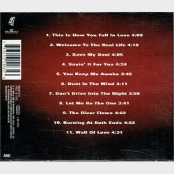 Michael Teschl - This Is How You Fall In Love (1995)