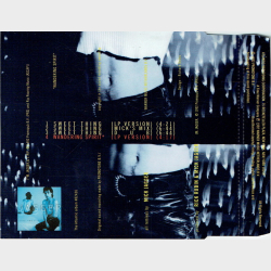 Mick Jagger - Sweet Thing (1992)