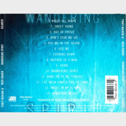 Mick Jagger - Wandering Spirit (1993)