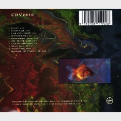 Mike Oldfield - Earth Moving (1989)