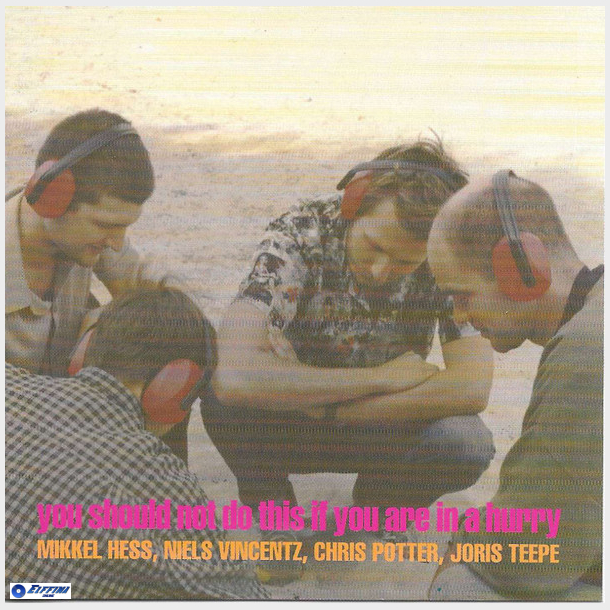 Mikkel Hess, Niels Vincentz, Chris Potter &amp; Joris Teepe - You Should Not Do This If You Are In A Hurry (1999)