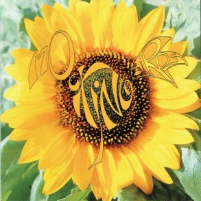 Mockingbirds - Introspection (1996) - NY