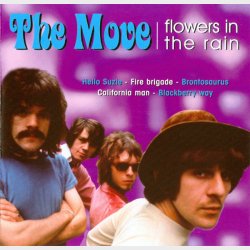 Move - Flowers In The Rain (2001)
