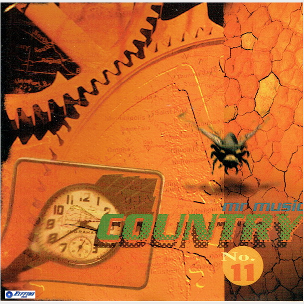Mr Music Country 1996-11 (1996)