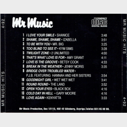 Mr Music Hits 1992-04 (1992)