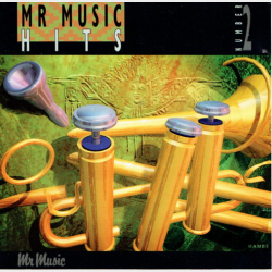 Mr Music Hits 1993-02 (1993)