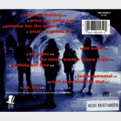 Mr. Big - Bump Ahead (1993)