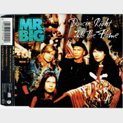Mr. Big - Dancin' Right Into The Flame (1996)