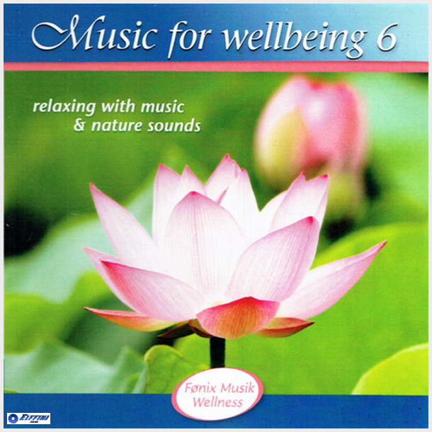 Music For Wellbeing 6 (2013)