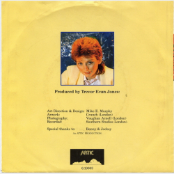 Nancy Peppers - No Replay (1982)