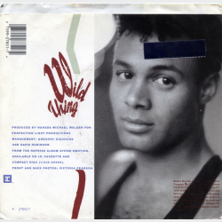 Narada - Wild Thing (1988)