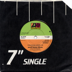 Narada Michael Walden - You Ought To Love Me (1982)