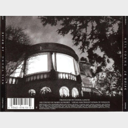 Neil Young - Le Noise (2010)