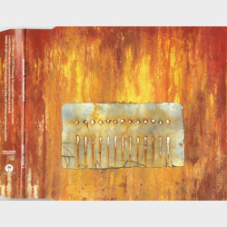 Nine Inch Nails - The Downward Spiral (1994) (Slim)
