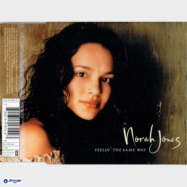 Norah Jones - Feelin The Same Way (2002)