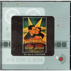 A Star Is Born (2004)