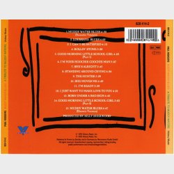 Paul Rodgers - Muddy Water Blues (A Tribute To Muddy Waters) (1993)