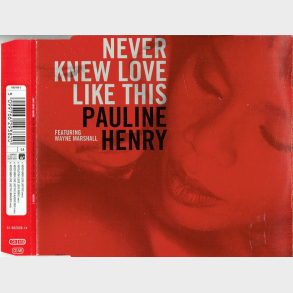 Pauline Henry ft. Wayne Marshall - Never Knew Love Like This