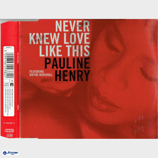 Pauline Henry ft. Wayne Marshall - Never Knew Love Like This