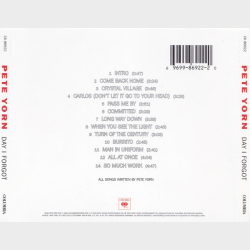 Pete Yorn - Day I Forgot (2003)