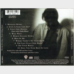 Peter Cetera - World Falling Down (1992)