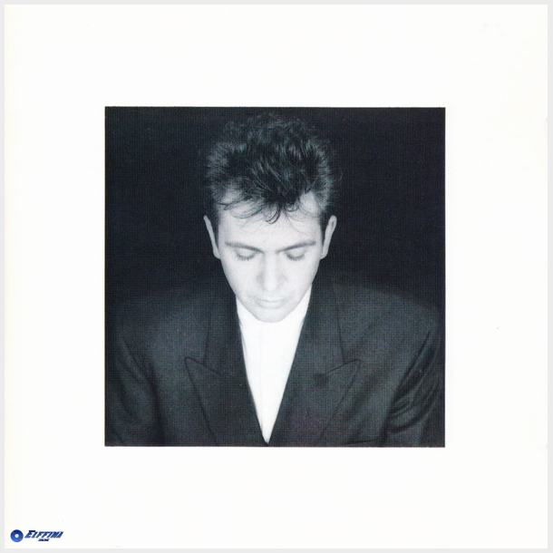 Peter Gabriel - Shaking The Tree (1990)